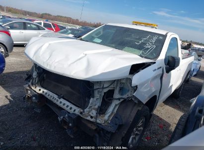 2019 CHEVROLET SILVERADO 1500 WORK TRUCK White  Gasoline 3GCNWAEHXKG288729 photo #3