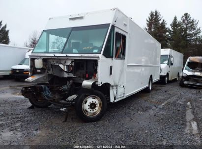 2019 FORD F-59 COMMERCIAL STRIPPED   Gasoline 1F66F5KY9K0A04160 photo #3