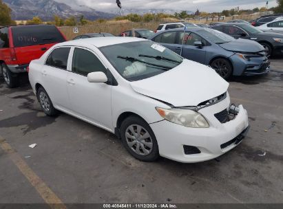 2010 TOYOTA COROLLA LE White  Gasoline JTDBU4EE7A9101879 photo #1