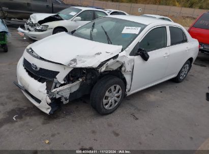 2010 TOYOTA COROLLA LE White  Gasoline JTDBU4EE7A9101879 photo #3