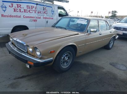 1984 JAGUAR XJ6 VANDEN PLAS Gold  Gasoline SAJAY1348EC383808 photo #3