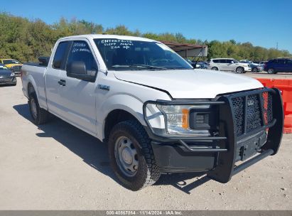 2019 FORD F-150 XL White  Gasoline 1FTFX1E54KKF16224 photo #1