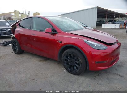 2024 TESLA MODEL Y LONG RANGE DUAL MOTOR ALL-WHEEL DRIVE Red  Electric 7SAYGAEE0RF017553 photo #1