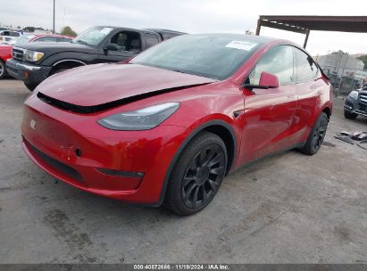 2024 TESLA MODEL Y LONG RANGE DUAL MOTOR ALL-WHEEL DRIVE Red  Electric 7SAYGAEE0RF017553 photo #3