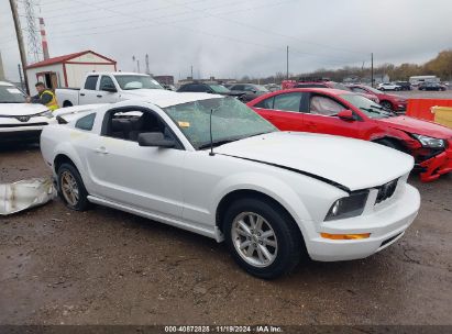 2005 FORD MUSTANG V6 DELUXE/V6 PREMIUM White  Gasoline 1ZVFT80N455212502 photo #1