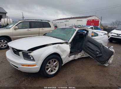 2005 FORD MUSTANG V6 DELUXE/V6 PREMIUM White  Gasoline 1ZVFT80N455212502 photo #3