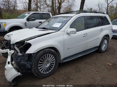 2008 MERCEDES-BENZ GL 450 4MATIC White  Gasoline 4JGBF71E88A435585 photo #3