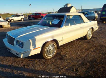 1984 CHRYSLER LEBARON White  Gasoline 1C3BC55E1EG311067 photo #3