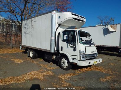 2024 ISUZU NRR White  Diesel JALE5W164R7303735 photo #1