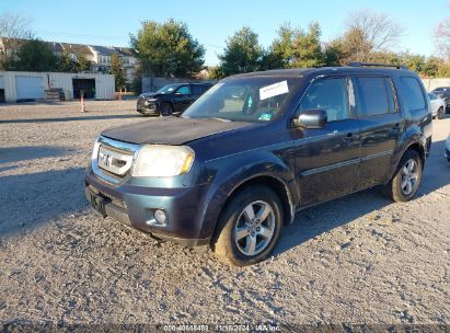 2009 HONDA PILOT Blue  Other 5FNYE484898044987 photo #3