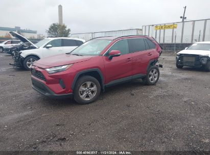 2023 TOYOTA RAV4 XLE Red  Gasoline 2T3P1RFV6PW336809 photo #3