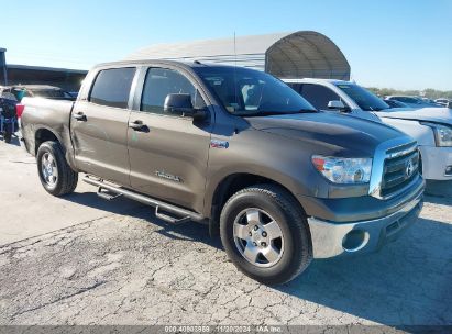 2010 TOYOTA TUNDRA CREWMAX SR5 Gold  Gasoline 5TFEY5F11AX094684 photo #1