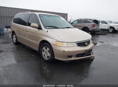 2001 HONDA ODYSSEY EX Gold  gas 2HKRL18631H513468 photo #1