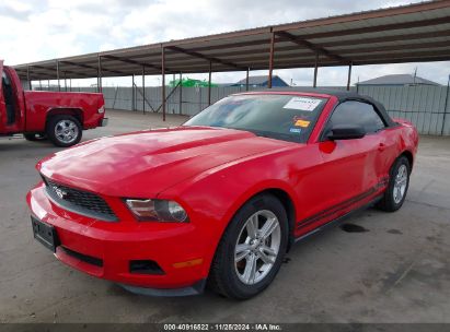 2012 FORD MUSTANG V6 Red  Gasoline 1ZVBP8EM9C5283310 photo #3