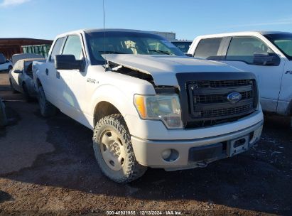 2014 FORD F-150 XLT White  Flexible Fuel 1FTFW1EF0EKF78087 photo #1