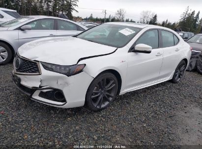 2019 ACURA TLX TECH   A-SPEC PKGS White  Gasoline 19UUB1F64KA005102 photo #3