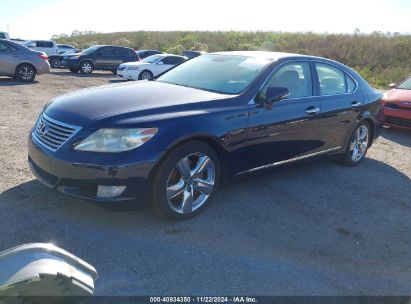 2010 LEXUS LS 460 Blue  Gasoline JTHBL5EF6A5098061 photo #3