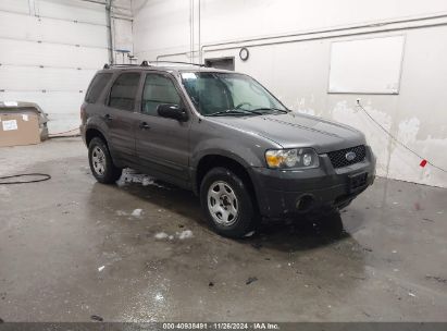 2003 FORD ESCAPE XLT Gray  Gasoline 1FMYU93103KB58035 photo #1