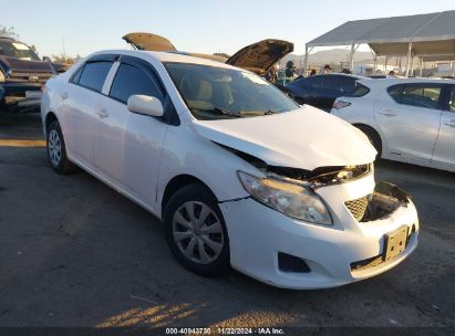 2010 TOYOTA COROLLA LE White  Gasoline JTDBU4EE3AJ066613 photo #1