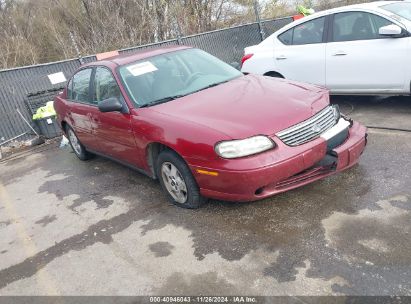 2005 CHEVROLET CLASSIC Burgundy  Gasoline 1G1ND52F45M251766 photo #1