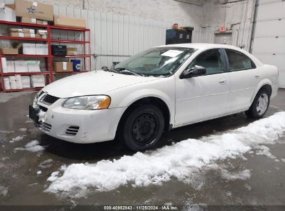 2005 DODGE STRATUS SXT White  Gasoline 1B3EL46X75N569223 photo #3