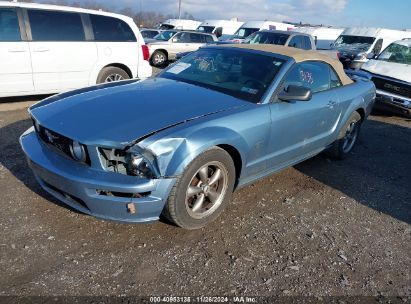 2005 FORD MUSTANG GT Blue  Gasoline 1ZVFT85H555245608 photo #3