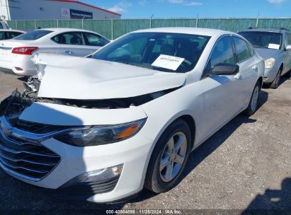 2022 CHEVROLET MALIBU FWD 1FL White  Gasoline 1G1ZC5ST6NF165955 photo #3