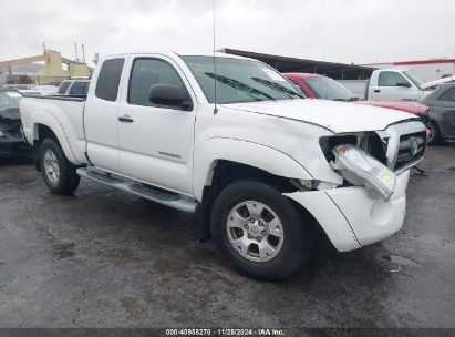 2007 TOYOTA TACOMA BASE V6 White  Gasoline 5TEUU42N67Z376007 photo #1