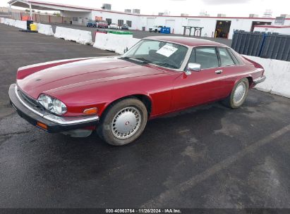 1983 JAGUAR XJS Red  Gasoline SAJNV5847DC108990 photo #3