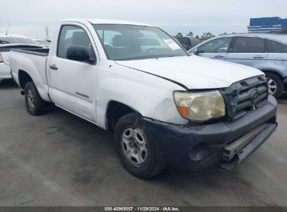 2009 TOYOTA TACOMA White  Gasoline 5TENX22NX9Z666690 photo #1