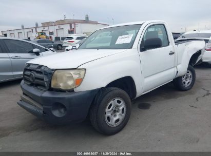 2009 TOYOTA TACOMA White  Gasoline 5TENX22NX9Z666690 photo #3