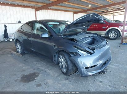 2023 TESLA MODEL Y AWD/LONG RANGE DUAL MOTOR ALL-WHEEL DRIVE Gray  Electric 7SAYGDEE7PF628341 photo #1