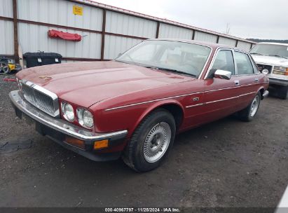 1989 JAGUAR VANDENPLAS Red  Gasoline SAJKY1541KC564245 photo #3