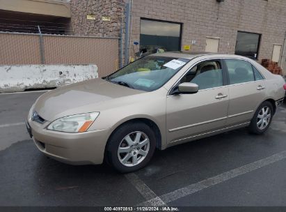 2005 HONDA ACCORD 3.0 EX Gold  Gasoline 1HGCM66525A041305 photo #3