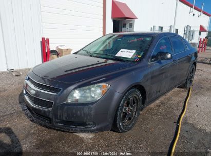 2010 CHEVROLET MALIBU LS Gray  Gasoline 1G1ZB5EB5A4146213 photo #3