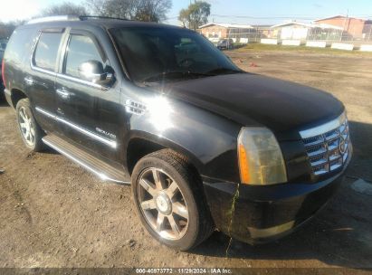 2010 CADILLAC ESCALADE LUXURY Black  Flexible Fuel 1GYUKBEF8AR148666 photo #1