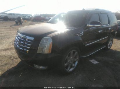 2010 CADILLAC ESCALADE LUXURY Black  Flexible Fuel 1GYUKBEF8AR148666 photo #3