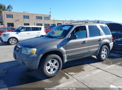 2005 FORD ESCAPE XLT Gray  Gasoline 1FMYU03175KB37522 photo #3