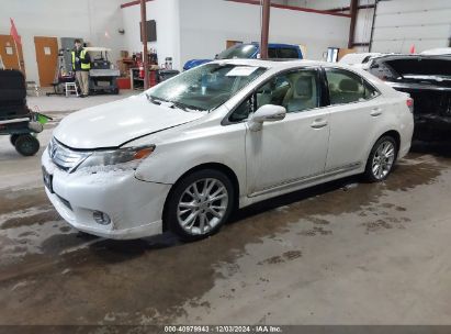 2010 LEXUS HS 250H PREMIUM White  Hybrid JTHBB1BA1A2010359 photo #3