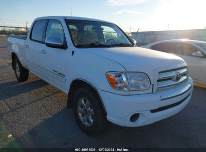 2006 TOYOTA TUNDRA SR5 V8 White  Gasoline 5TBET34166S500616 photo #1