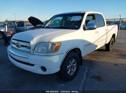 2006 TOYOTA TUNDRA SR5 V8 White  Gasoline 5TBET34166S500616 photo #3