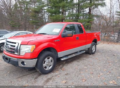 2011 FORD F-150 XLT Red  Flexible Fuel 1FTFX1EF0BFA37347 photo #3