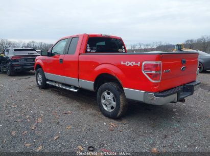 2011 FORD F-150 XLT Red  Flexible Fuel 1FTFX1EF0BFA37347 photo #4