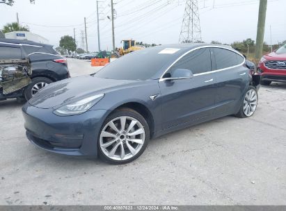 2019 TESLA MODEL 3 LONG RANGE/MID RANGE/STANDARD RANGE/STANDARD RANGE PLUS Gray  Electric 5YJ3E1EA3KF425397 photo #3