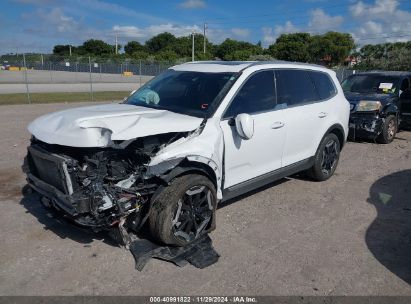 2023 KIA TELLURIDE EX White  Gasoline 5XYP34GC0PG341741 photo #3