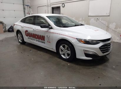 2023 CHEVROLET MALIBU LS White  Gasoline 1G1ZB5ST2PF175324 photo #1