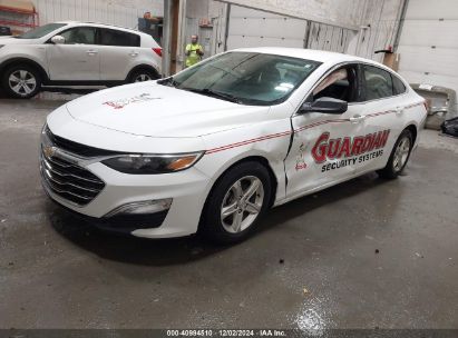 2023 CHEVROLET MALIBU LS White  Gasoline 1G1ZB5ST2PF175324 photo #3