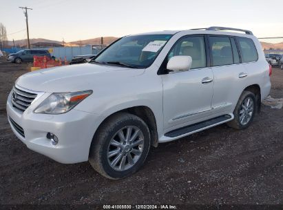 2008 LEXUS LX 570 White  gas JTJHY00W884000149 photo #3