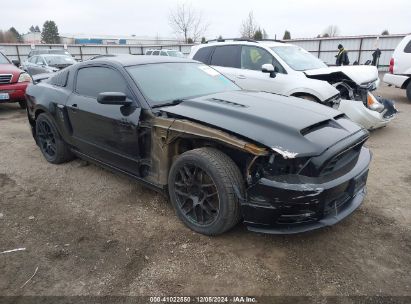 2013 FORD MUSTANG GT PREMIUM Black  Gasoline 1ZVBP8CF3D5240409 photo #1