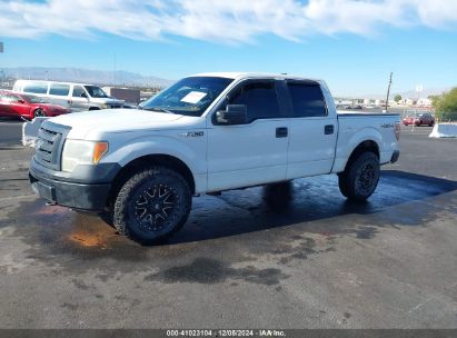 2009 FORD F-150 FX4/KING RANCH/LARIAT/PLATINUM/XL/XLT White  Flexible Fuel 1FTPW14V09FA55566 photo #3